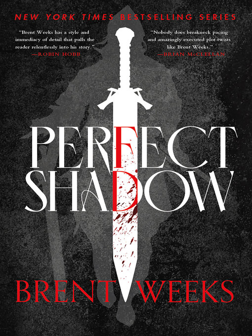 Title details for Perfect Shadow by Brent Weeks - Wait list